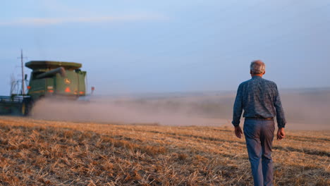 slim grey-haired man by the field of mowed wheat. farmer follows the combine harvester working in agricultural plantation