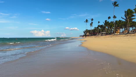 waves-roll-unto-the-sandy-beach-lined-with-palm-trees-in-Punta-Cana,-Dominican-on-the-island-of-Hispaniola