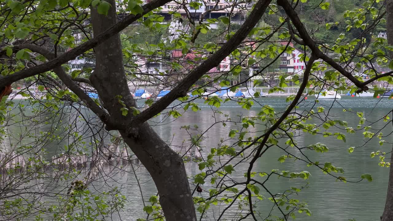 Walenstadt Switzerland Walensee lake shoreline village city Europe holiday destination travel