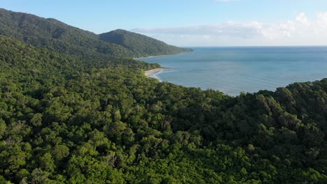 Tribulación-Del-Cabo-Y-Antena-De-La-Selva-Tropical-De-Daintree-Sobre-Un-Exuberante-Desierto,-Queensland,-Australia