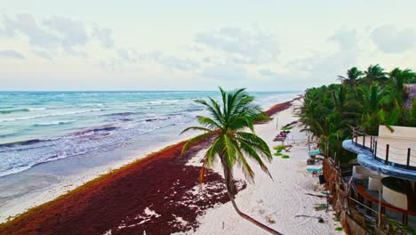 drone volando sobre la playa de arena blanca y palmeras en tulum mexico