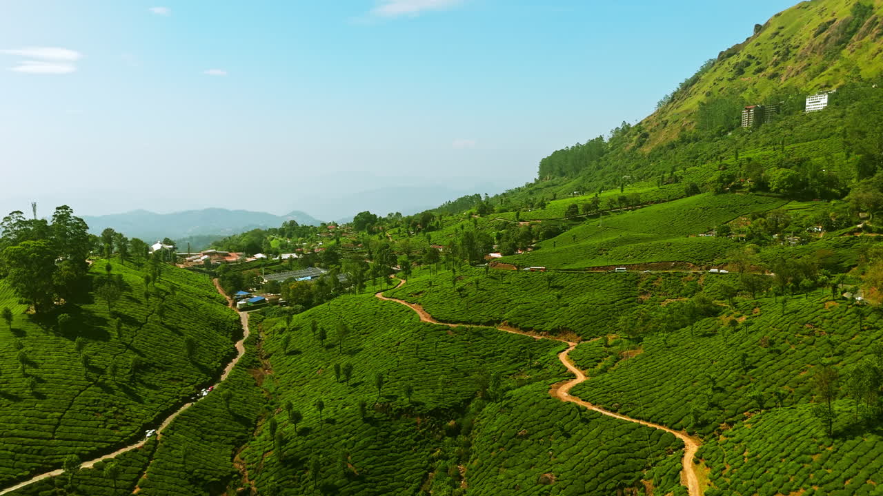 Aerail view rotating over tea plantations in Munnar hill station, India, sunny day