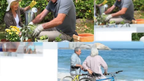 montage of happy retired couples spending time together