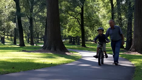 Man teaching a boy to ride a bicycle in a park