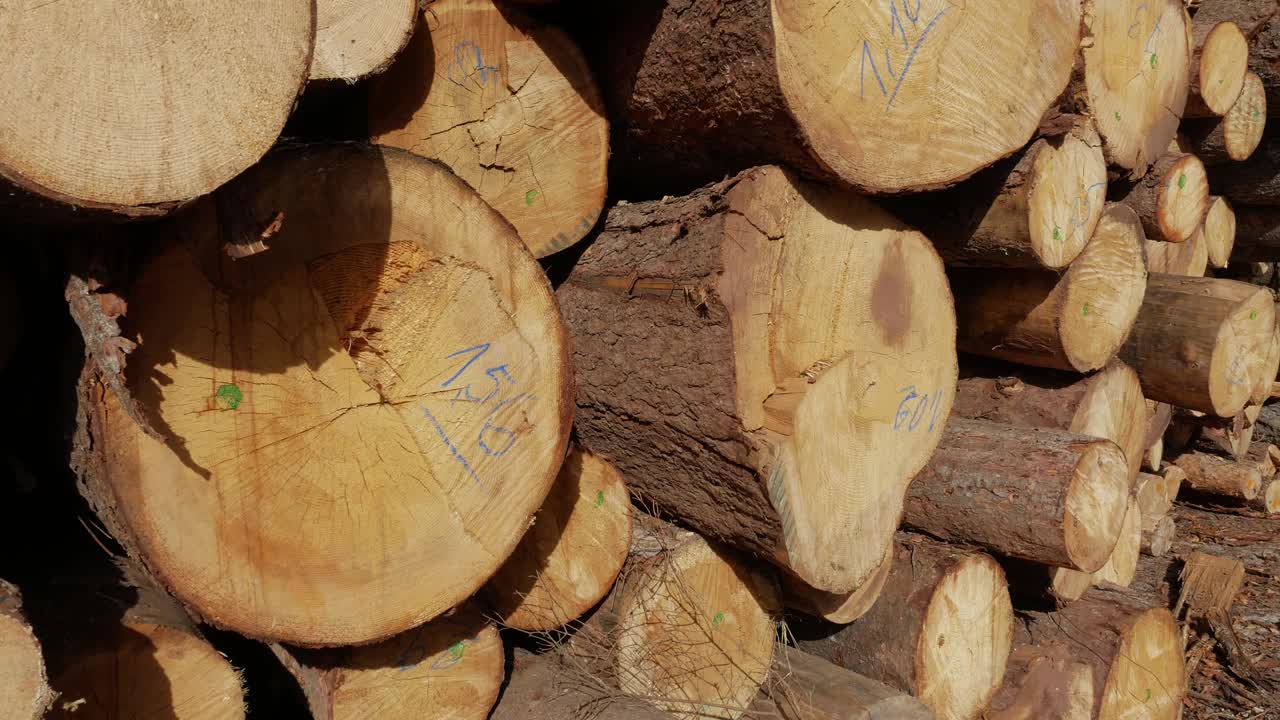 Panning Shot Of Pile Of Wood Logs Storage.