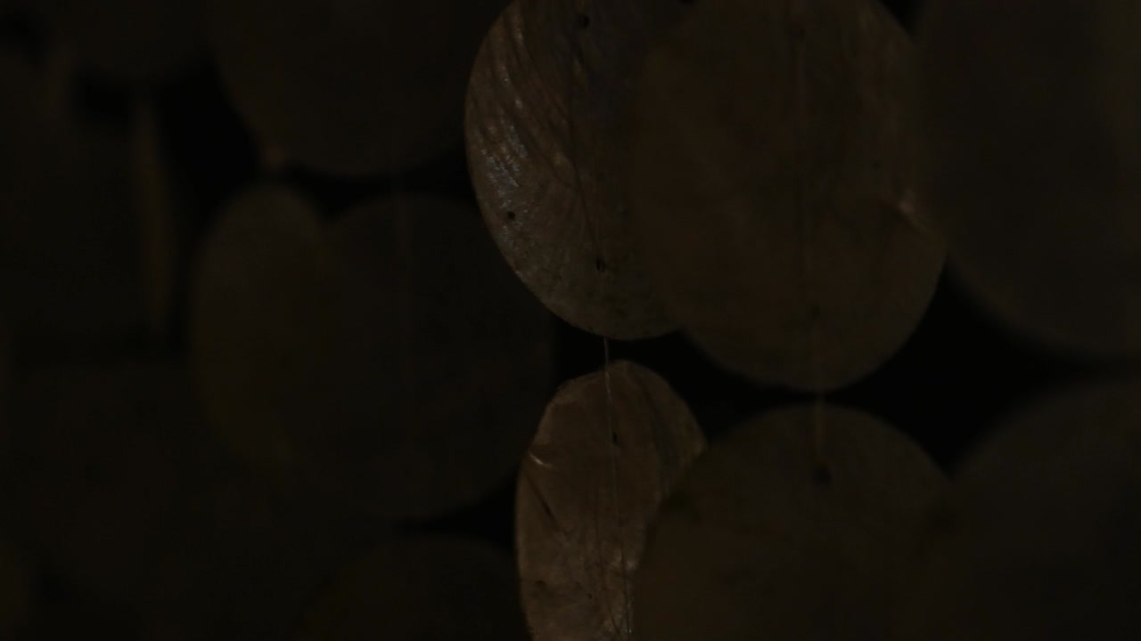 데기 벽 - 바람 울음소리