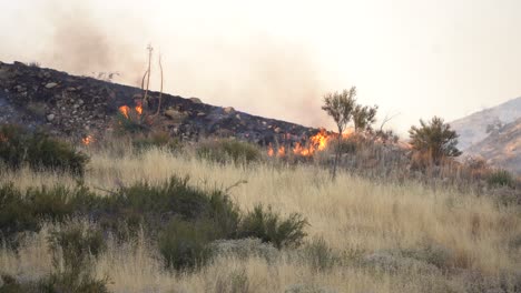 Wildfire-Burning-on-Hillside-Flames