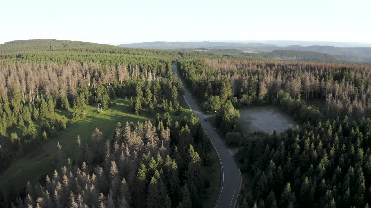 Luftfoto af genvoksende træer i Harzen Nationalpark, Niedersachsen, Tyskland