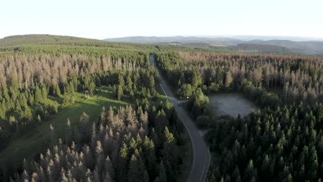 Aereal-view-of-renewing-trees-in-the-harz-national-park,-Lower-Saxony,-Germany