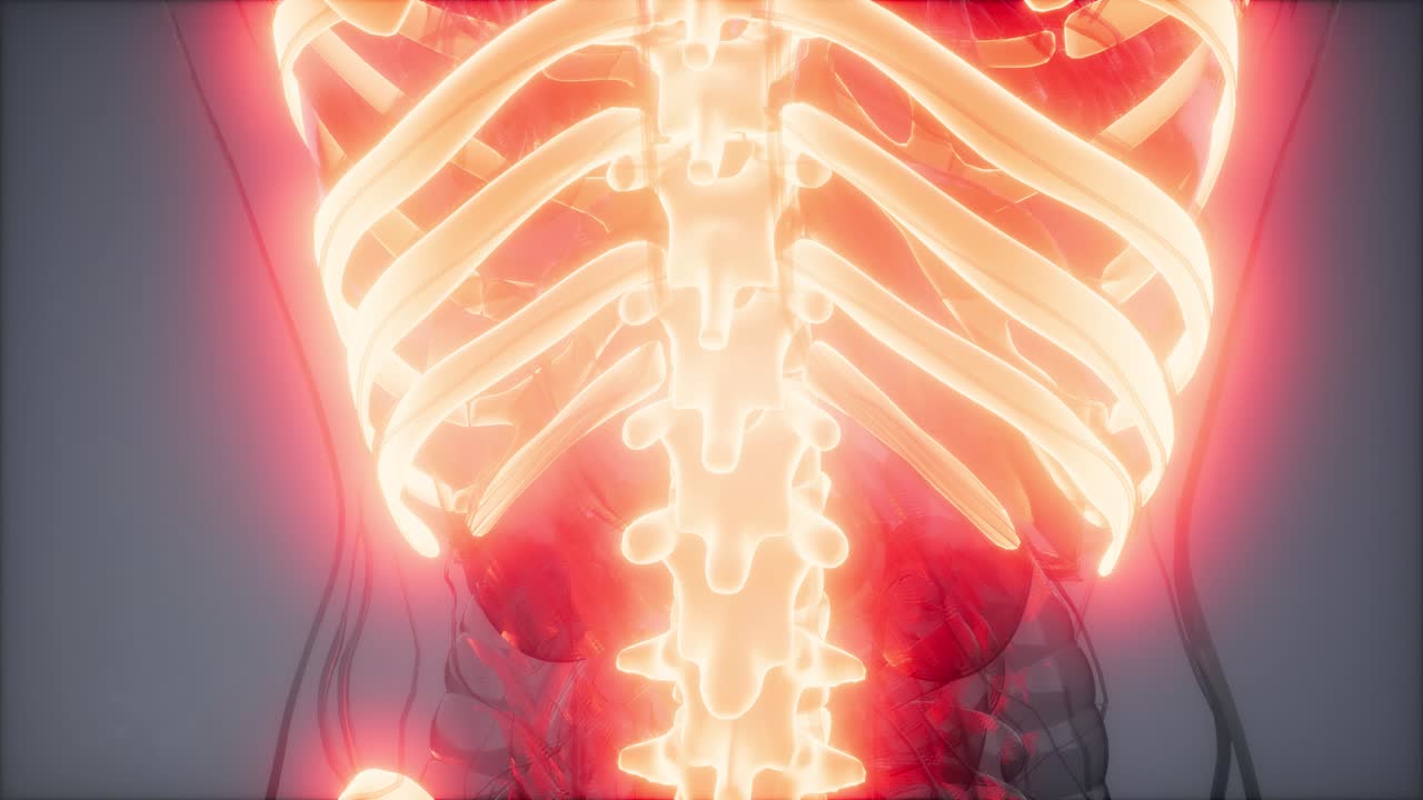 눈에 띄는  ⁇ 가 있는 투명한 인간 몸