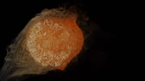 unsettling is this unsettled tangle, but fascinating and delicate and beautiful, at least to this eye  -  for more, search  "abstractvideoclip" using the quotation marks