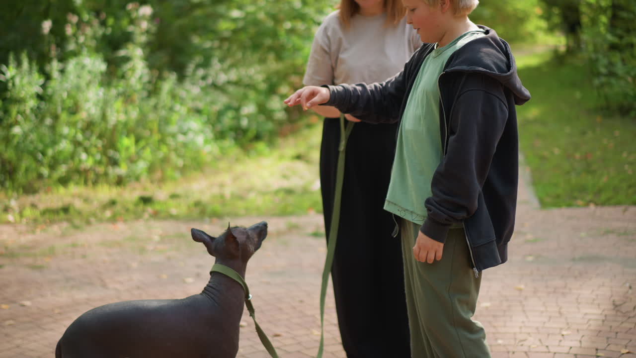White Boy And Woman Teaching Dog To Beg With Treats On Forest Path, Lively Dog Stands On Hind Legs Reaching For Reward, Leash Held By Caregiver, Warm Summer Light, Joyful Interaction And Training