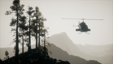helicóptero volando en cámara lenta extrema cerca del bosque de montaña