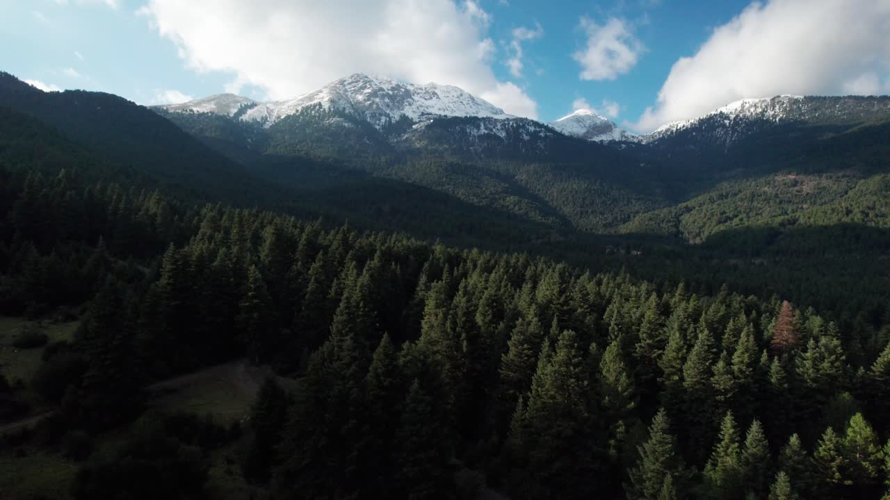 bosque de pinos y zona montañosa alrededor del lago doxa grecia vista aérea pintoresca de colinas verdes en un destino de viaje natural de ensueño no contaminado