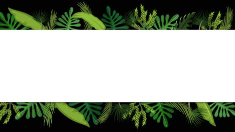 animated tropical leaves framing scene transitions