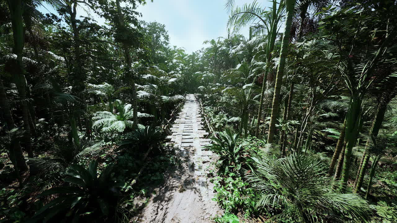 Pathway through lush tropical forest in bolivia during the daytime
