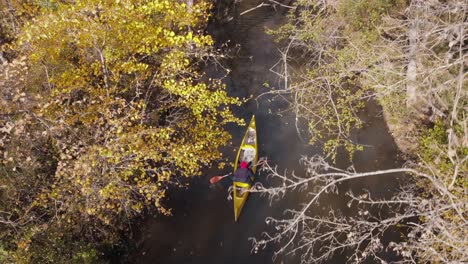 Männliches-Kanu-Fährt-Im-Herbst-Am-Bach-Entlang,-Luftdrohne-Folgt