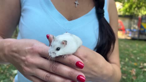 woman holding a hamster in a park