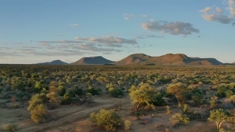 Luftdrohnenaufnahme-Der-Afrikanischen-Savanne