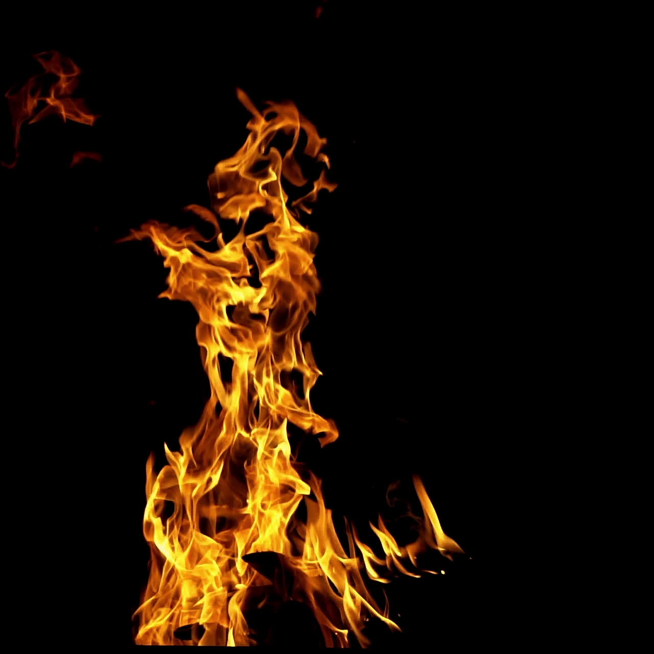 Warm cozy burning fire isolated on black background outdoors. Burning logs in the campfire with a nice orange flame at night