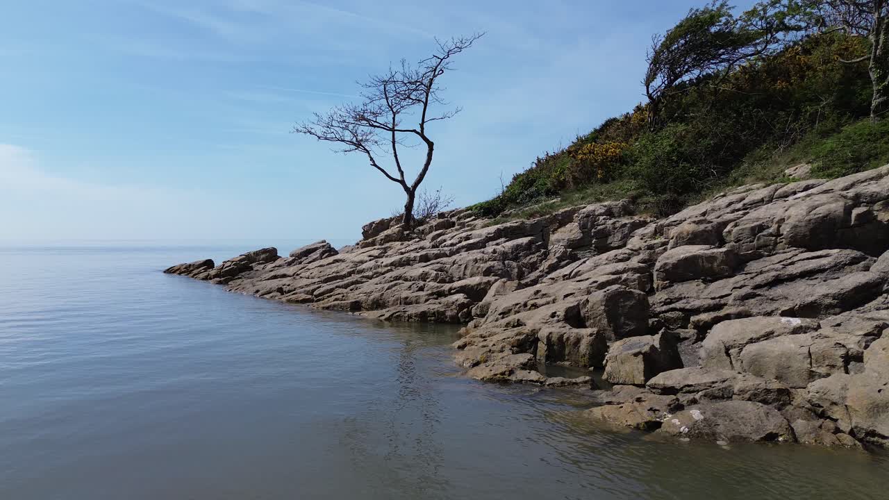 Aerial view towards weathered tree rocky slope with calming tide and blue sky in dreamlike harmony