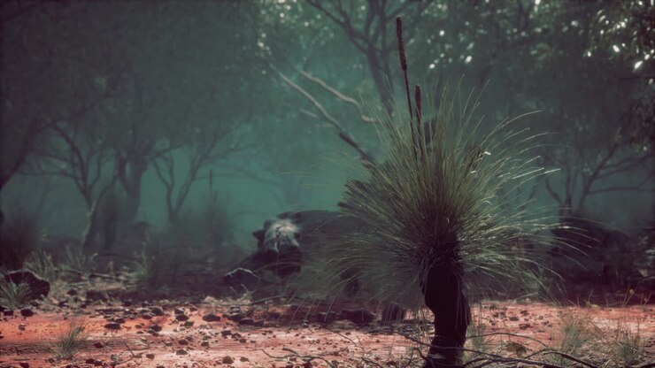 Dirt track through Angophora and eucalyptus forest