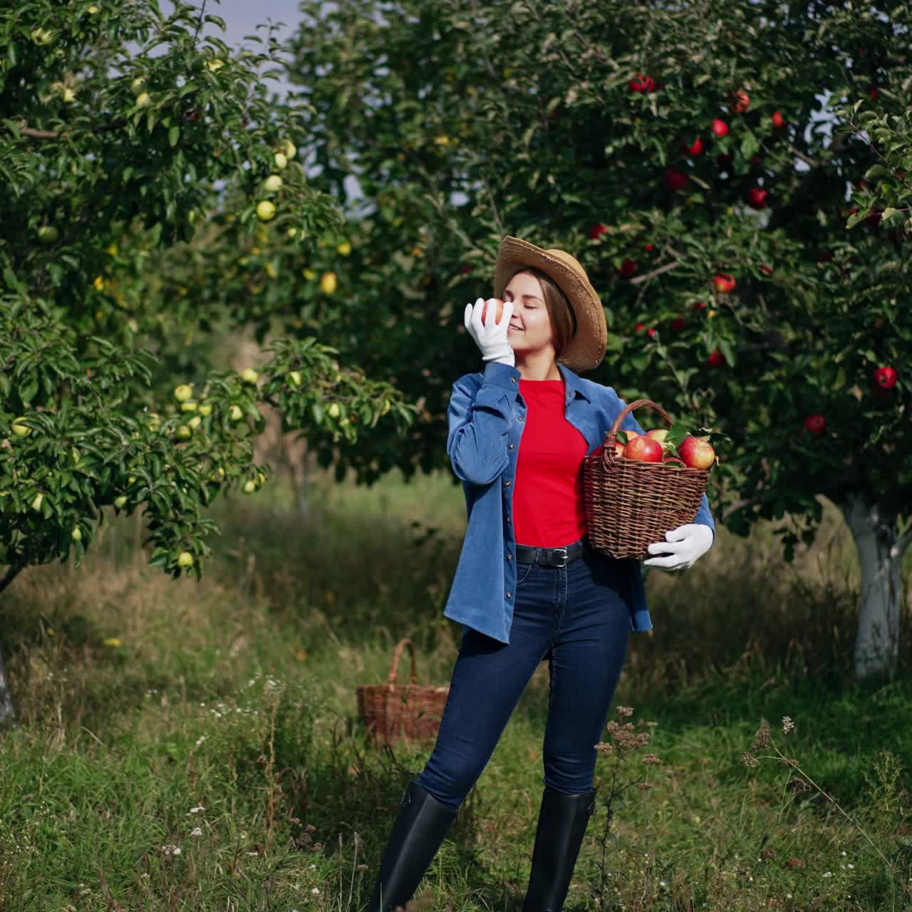 Young attractive woman in hat, Jeanswear and high boots holding a basket of apples. Lady playfully tosses fruit standing in the sun