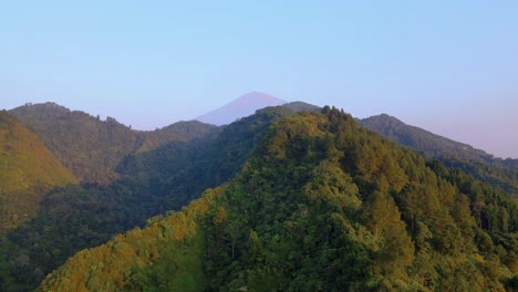 Hügelige-Waldlandschaft-Im-Herrlichen-Morgenlicht