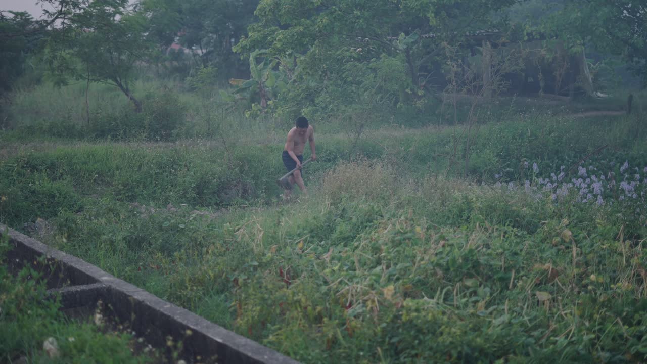 Farmer Weeding a Field