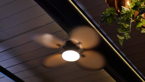 ceiling fan with light and motion blur