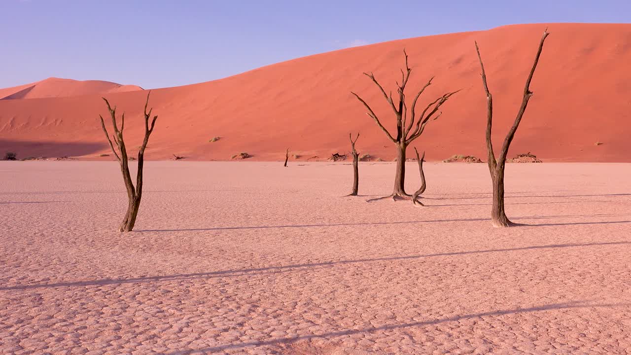 Amazing dead trees silhouetted at dawn at Deadvlei and Sossusvlei in Namib Naukluft National Park Namib desert Namibia 4
