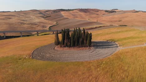 Toma-Aérea-De-Cipreses-En-Las-Colinas-De-Val-D&#39;orcia,-Toscana,-Italia