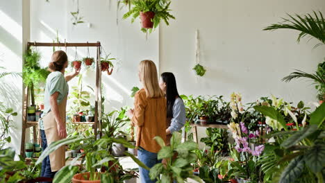 gente comprando plantas en una tienda botánica