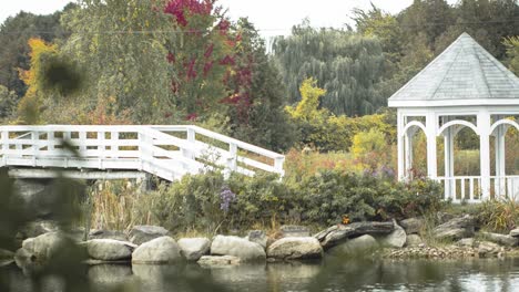 hermoso puente al aire libre a través de un estanque a una isla y un lugar de celebración de bodas con pérgola blanca durante el otoño en el centro de bodas y eventos orchard view