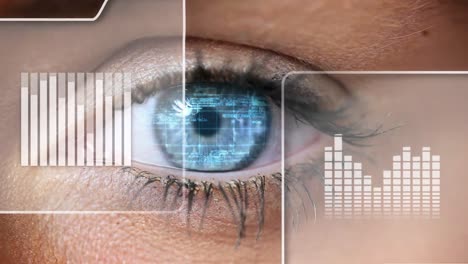 animation of moving graphs over computer language in human eye