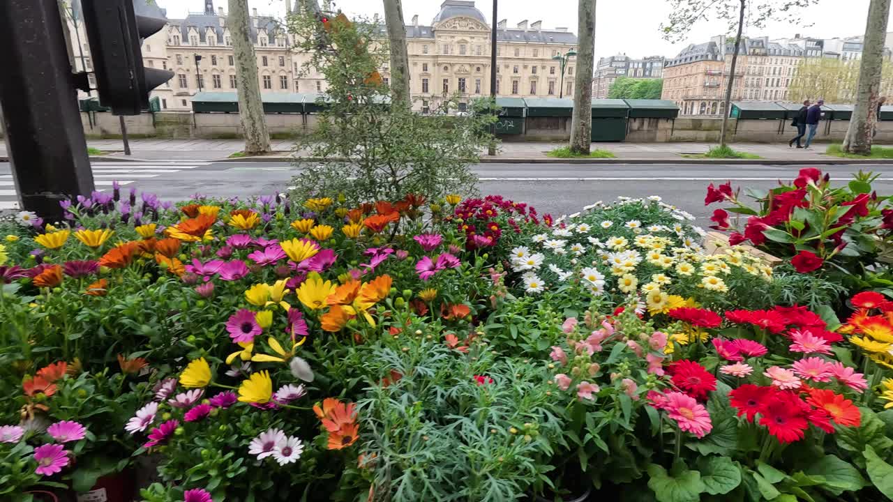 Bunte Blumen vor einem Pariser Geschäft präsentiert.