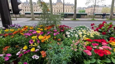 colorful flowers displayed outside a parisian shop