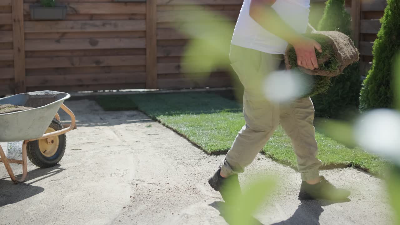 Roll of new natural grass turf installed by professional gardener. Landscaping industry.