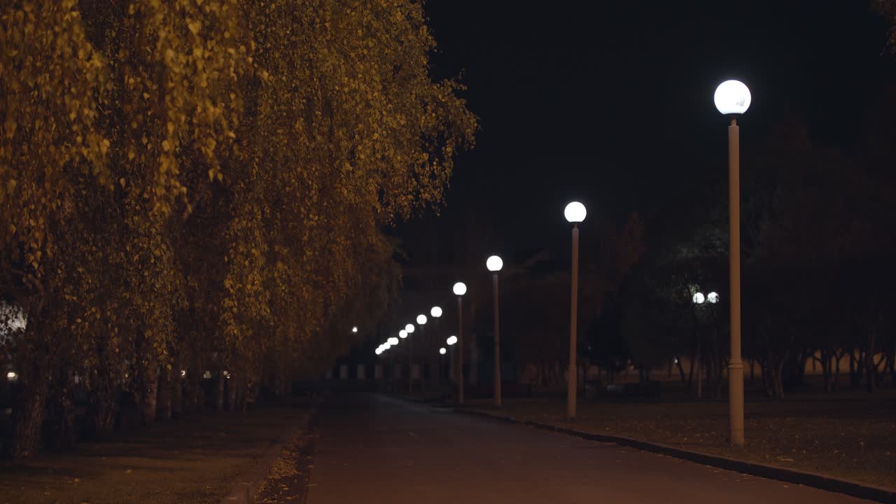 camino nocturno en un parque con farolas