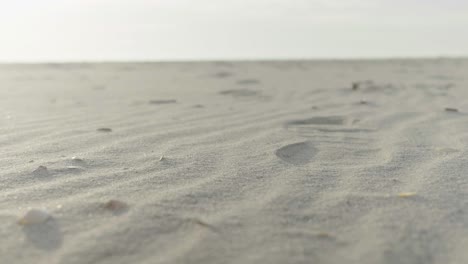 footsteps on a white sand beach at dawn.