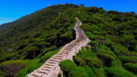 stone stairs winding up a lush mountainside