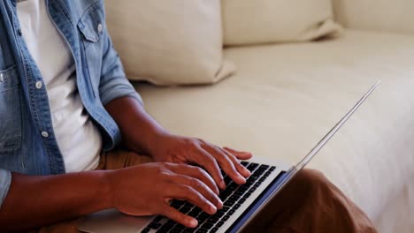 Man-sitting-on-sofa-and-using-laptop-in-living-room
