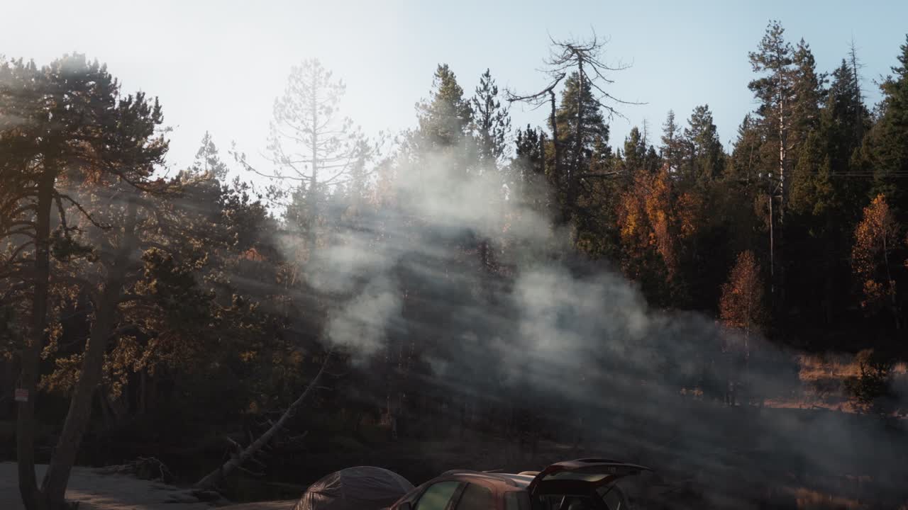 Atmospheric early morning forest scene filled with rising smoke, gently illuminated by golden sunlight rays filtering through the trees.