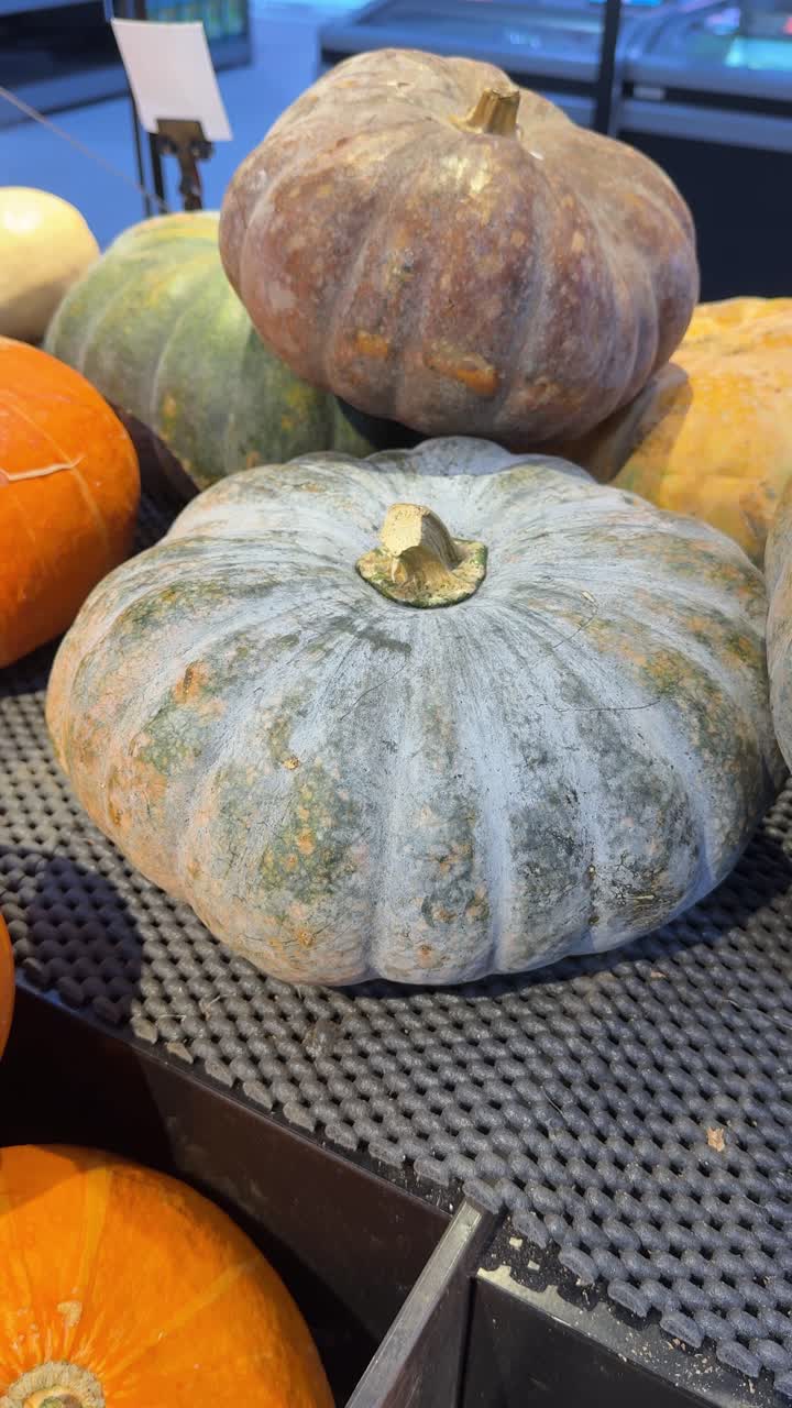Variety of Pumpkins and Squashes on Display in a Market