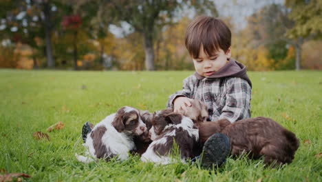 cute asian toddler sitting on the grass, playing with a few puppies