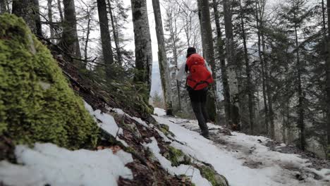 Rucksacktourist-Hebt-Wanderstöcke-Auf,-Während-Er-Auf-Einem-Schneebedeckten-Wanderweg-Spaziert