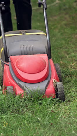 lawn mower cutting grass in the garden. lawn mower mows green grass on the backyard in summer. worker mowing lawn with electric machine. vertical video