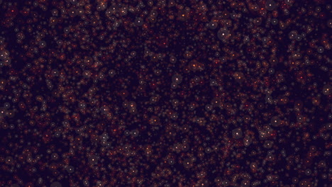 un cúmulo de estrellas en el cielo nocturno silencioso