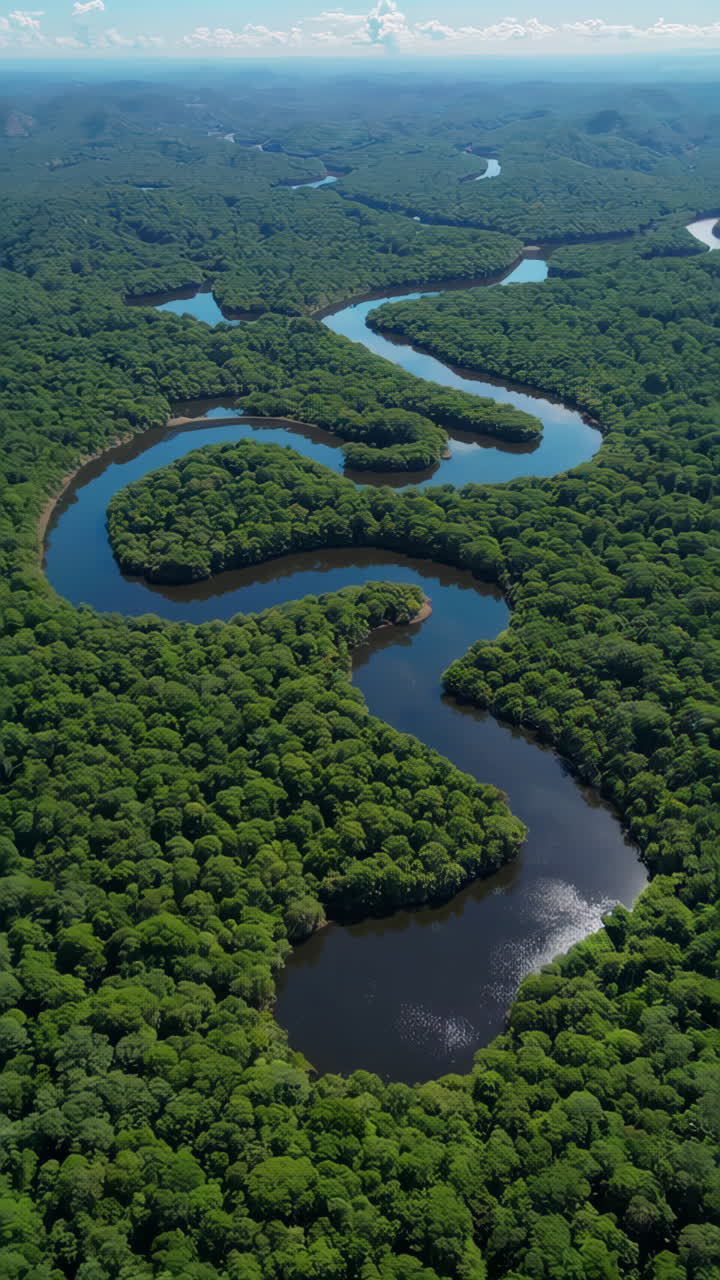 Aerial View of a Winding River Through Lush Rainforest