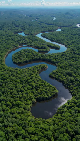 aerial view of a winding river through lush rainforest